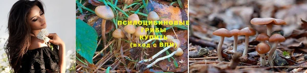 метадон Абаза