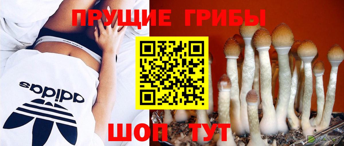 Фурманов  Галлюциногенные грибы Magic Shrooms  Вход с VPN  Галлюциногенные грибы мухоморы 